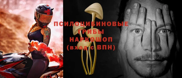 PSILOCYBIN Пересвет