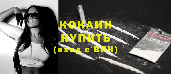 гашик Переславль-Залесский