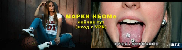 гашик Переславль-Залесский