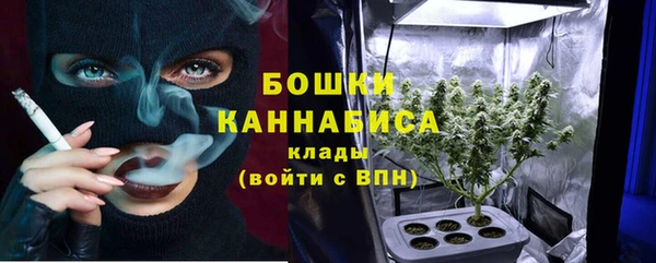apvp Аркадак