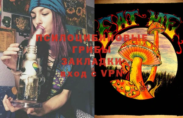 гашик Переславль-Залесский
